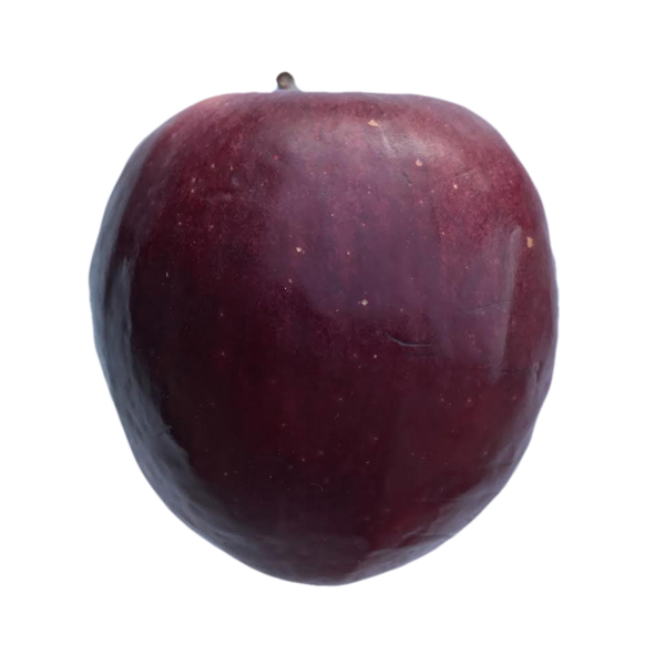 Mela Modì